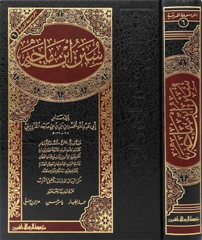 سنن ابن ماجه (طبعة دار الرسالة)